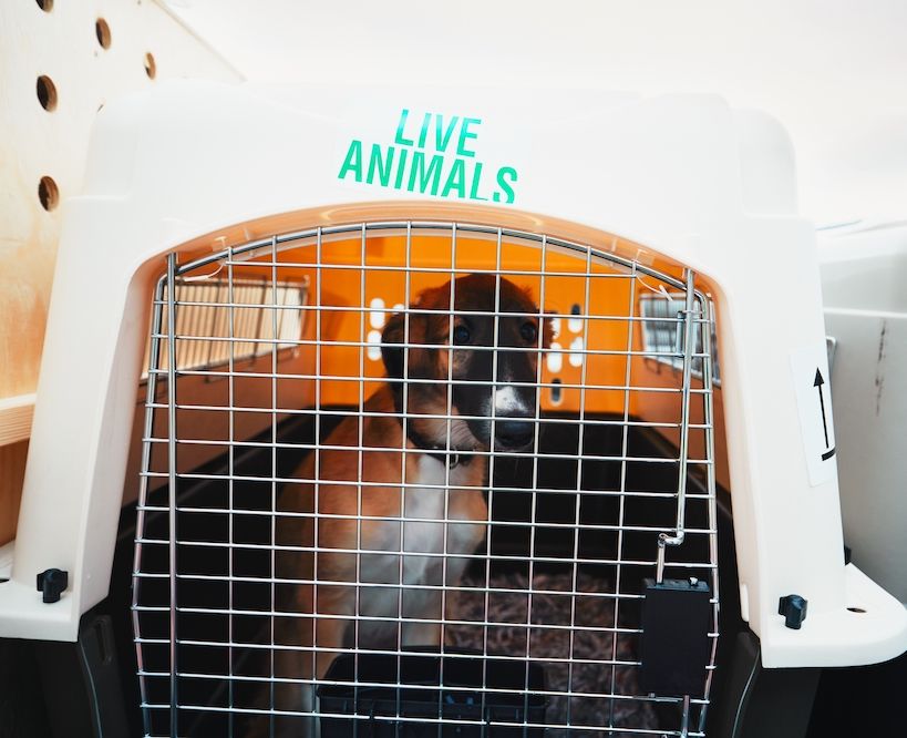 The Gossip Column: April 29, 2022